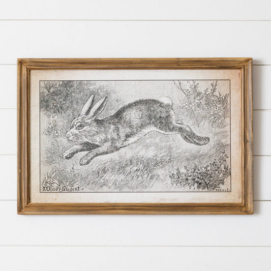 Framed Print - Leaping Rabbit